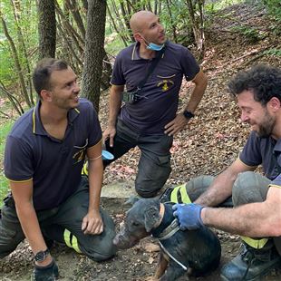 Scappa e finisce nella tana di un tasso: il cagnolino Franz salvato dai vigili del fuoco