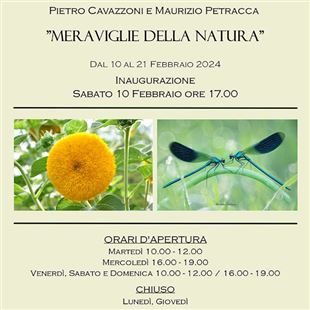 "Meraviglie della natura": sabato l'inaugurazione della mostra in galleria Cavedoni