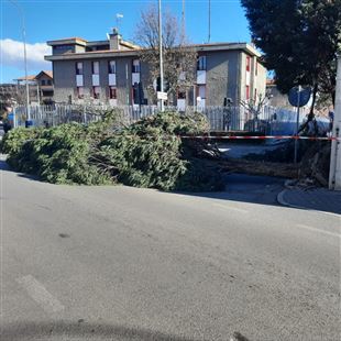 Vento forte: chiusi parchi, cimitero monumentale ed accessi al percorso Natura Secchia